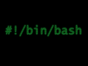 bash